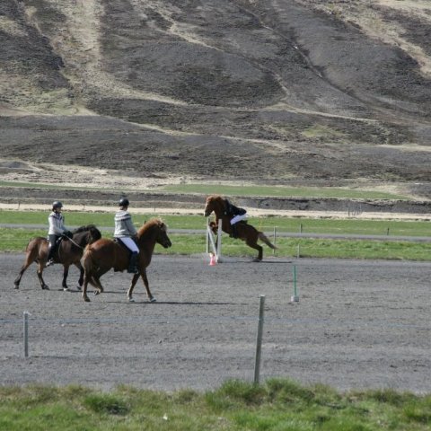 img_5360.jpg