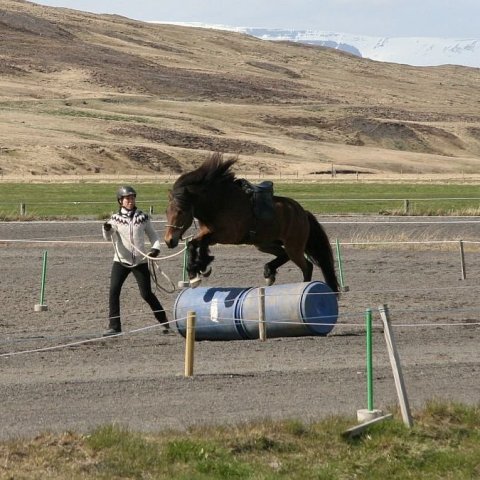 vefur_1000_08.jpg