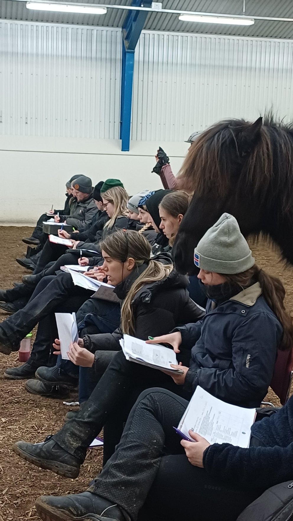 Kostur frá Hólum stal senunni