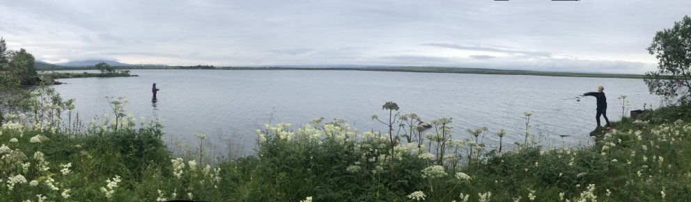 Interdisciplinary research paper on socioecological perspective on wild and farmed arctic charr in a…