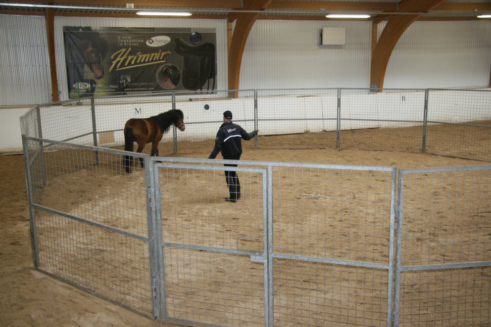 Metaðsókn í tamningapláss