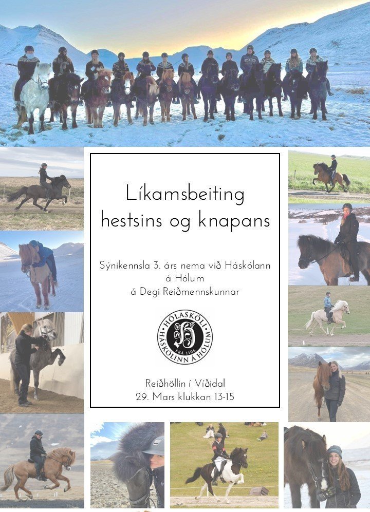 Öll velkomin á sýnikennslu 3. árs nema á Degi Reiðmennskunar