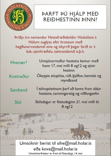 Þarft þú hjálp með reiðhestinn þinn?