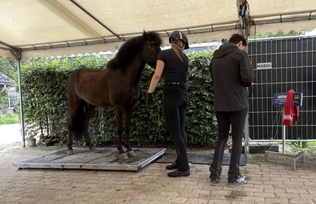 Nemendatengt fræðastarf í Hestafræðideild í janúar til apríl 2024