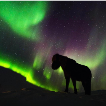 Fyrirlestraröðin Vísindi og grautur: myrkurgæði sem ferðavara