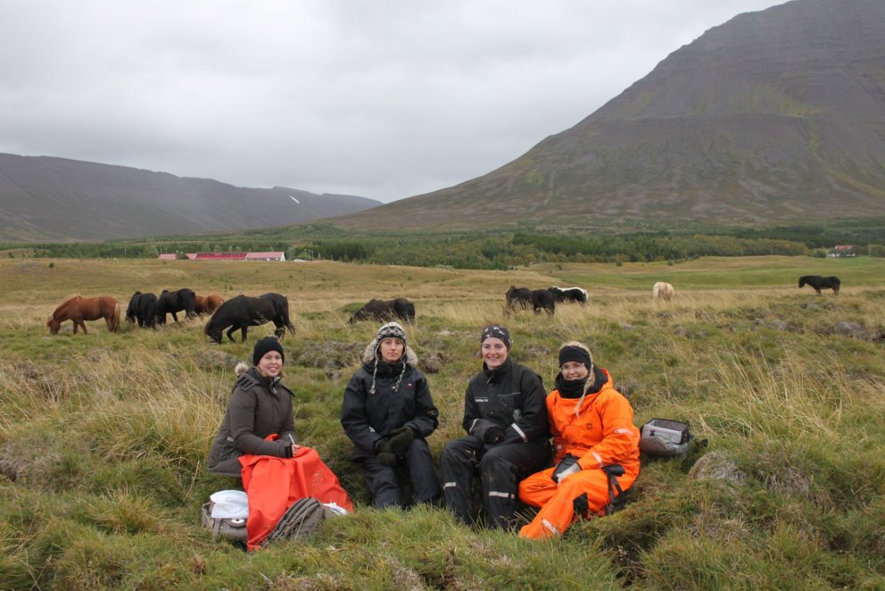 Velkomin á nýnemadaga
