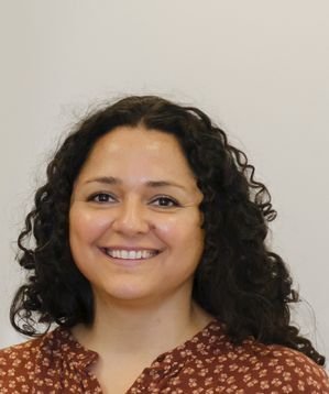 Published paper and report