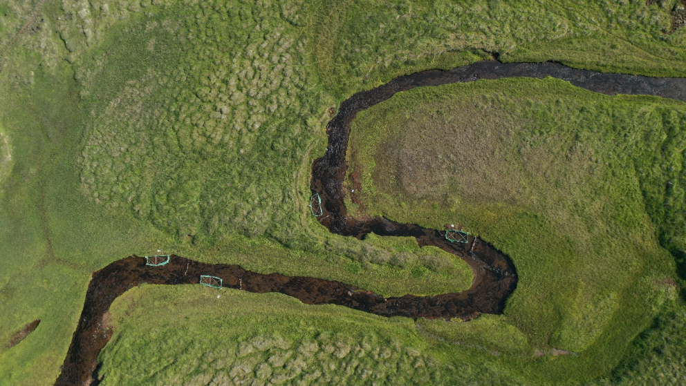 Gabrielle birtir fyrstu vísindagreinina úr doktorsverkefninu sínu!