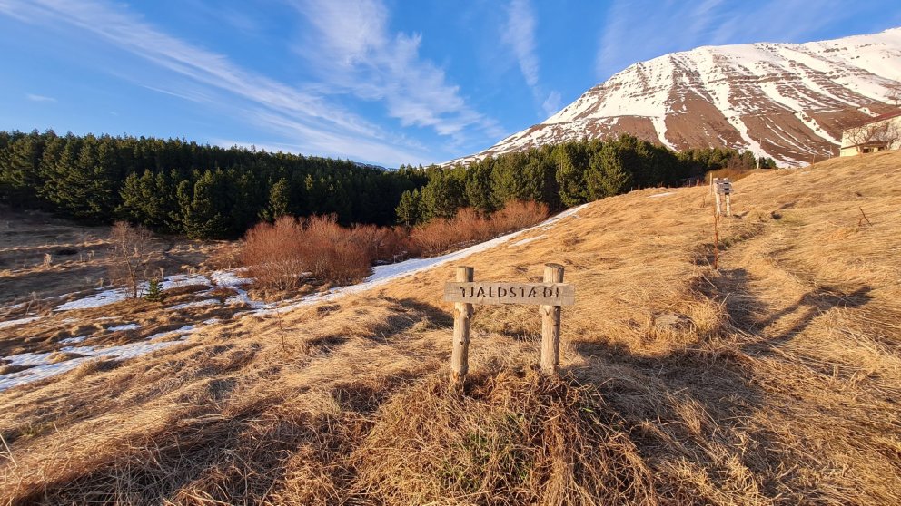 skilti að tjaldstæði Hóla