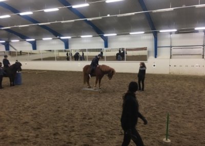 Grunnskólanemendur á námskeiði hjá 1.árs nemum í Hestafræðideild