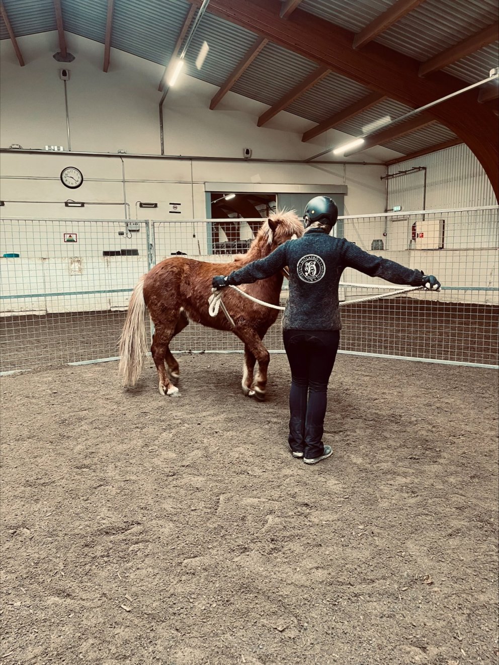 Fullbókað -Kallað er eftir hrossum til frumtamningar