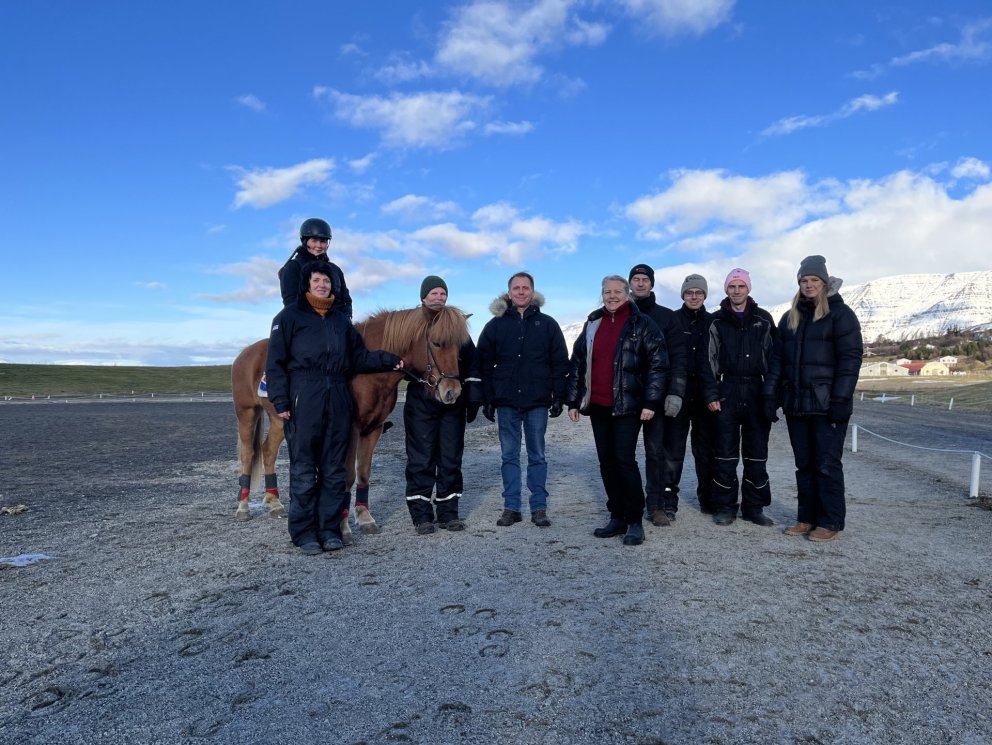 Burðargeta íslenskra hesta