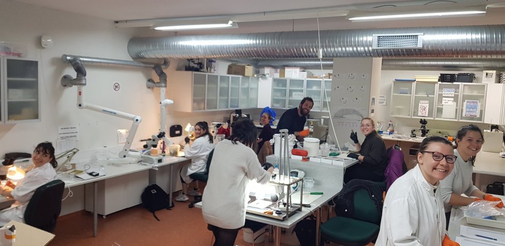 Hluti af erlendu nemendum sem koma sem skiptinemar í Fiskeldis- og fiskalíffræðideild í starfsnám.