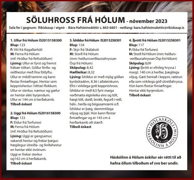 Söluhross frá Hólum