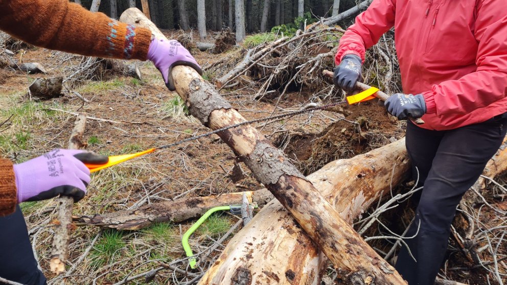 Útikennsla á Hólum með nemendum við Ferðamáladeild í maí 2025