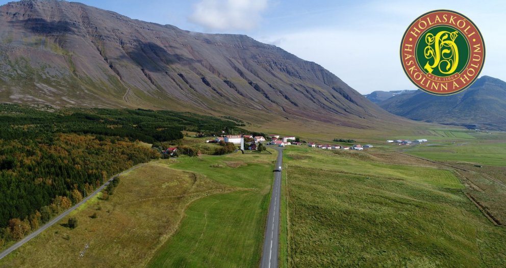 Ráðandi tungumál í ferðaþjónustu. Ný skýrsla Ferðamáladeildar í samvinnu við Stofnun Árna Magnússona…