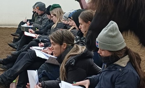 Kostur frá Hólum stal senunni