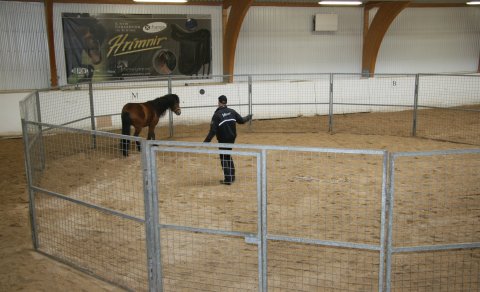 Metaðsókn í tamningapláss