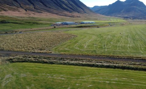 Kynbótasýningar á Hólum 2.-6. júní og 16.-20. júní 2025