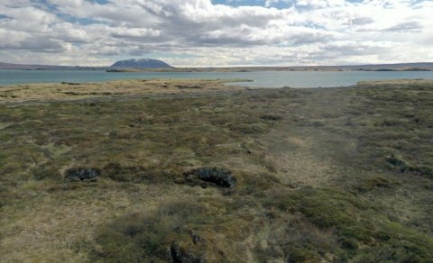 Nýjar vísindagreinar og árangur í Fiskeldis- og fiskalíffræðideild