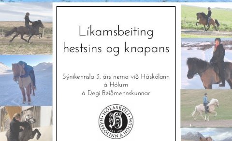 Öll velkomin á sýnikennslu 3. árs nema á Degi Reiðmennskunar