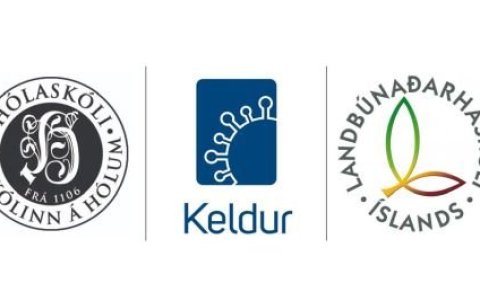 Akademía íslenska hestsins