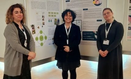 Handbook of Nature Activities