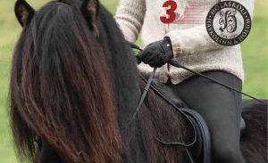 Reiðnámskeið - fimi og flæði