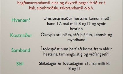 Þarft þú hjálp með reiðhestinn þinn?