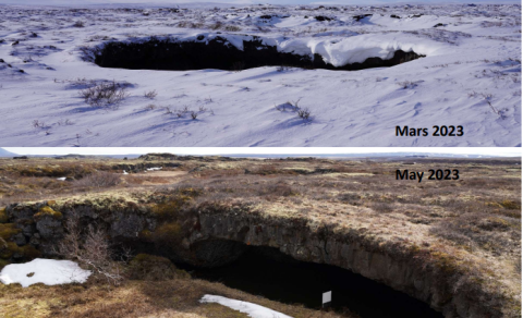 Hraunhellar við Mývatn – Búsvæði bleikju og smádýra – nýjar greinar.