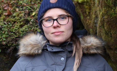 Seal watching management - new paper published