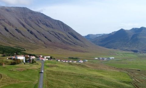 Viltu starfa með mönnum og hestum?