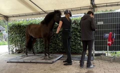 Nemendatengt fræðastarf í Hestafræðideild í janúar til apríl 2024