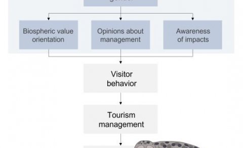Ný rannsókn um viðhorf til stjórnunar villtra dýra