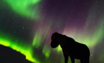 Fyrirlestraröðin Vísindi og grautur: myrkurgæði sem ferðavara