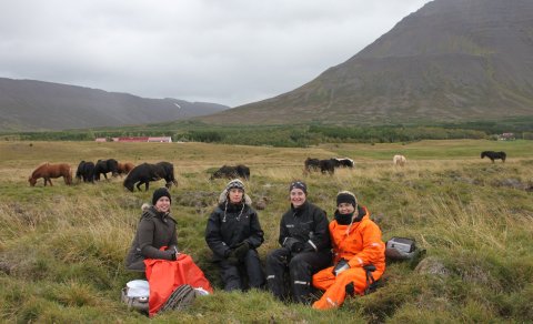 Velkomin á nýnemadaga