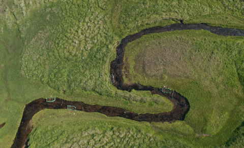 Gabrielle birtir fyrstu vísindagreinina úr doktorsverkefninu sínu!