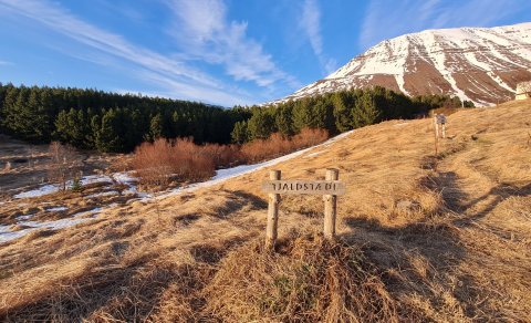 skilti að tjaldstæði Hóla