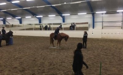 Grunnskólanemendur á námskeiði hjá 1.árs nemum í Hestafræðideild