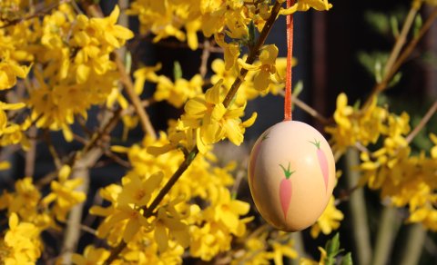 Páskakveðjur frá Háskólanum á Hólum