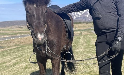 Þorsteinn reiðkennari spjallar við verkefnastjóra frá Svíþjóð og Írlandi