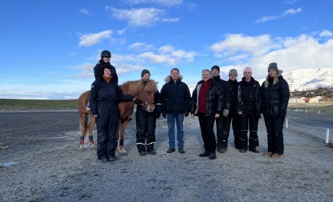 Burðargeta íslenskra hesta