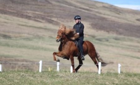 Konráð Valur Sveinsson og Seiður frá Hólum Mynd. Elisabeth Jansen.