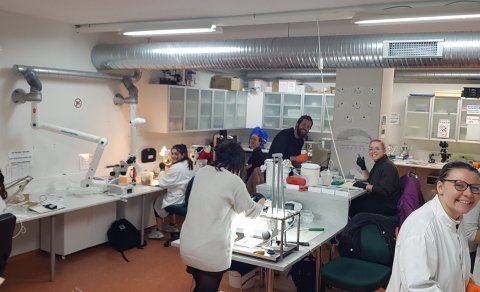 Hluti af erlendu nemendum sem koma sem skiptinemar í Fiskeldis- og fiskalíffræðideild í starfsnám.