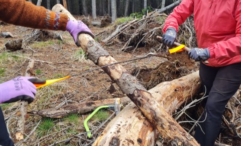 Útikennsla á Hólum með nemendum við Ferðamáladeild í maí 2025
