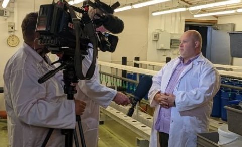 Bjarni Kristófer Kristjánsson prófessor 
við Fiskeldis- og fiskalíffræðideild í viðtali við Kristjá…